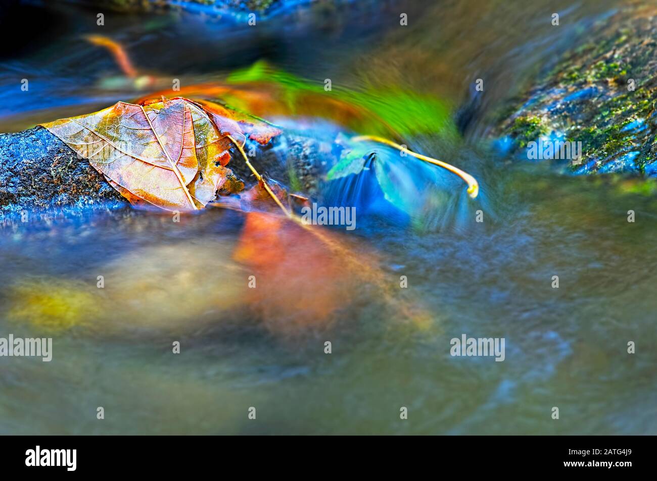 Stream no people hi-res stock photography and images - Alamy