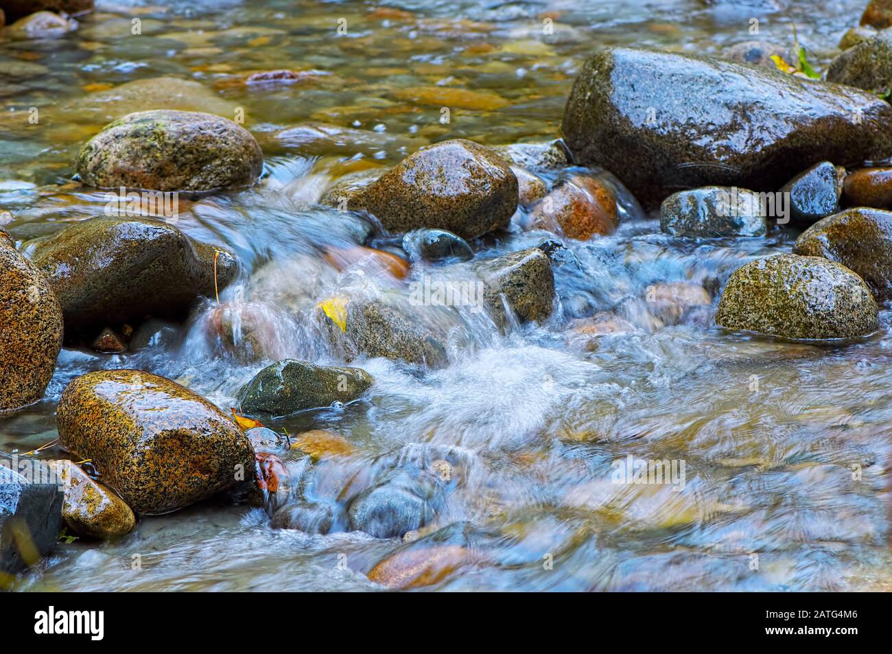 Rocks in a Stream is a photograph of colourful, wet rocks in a creek