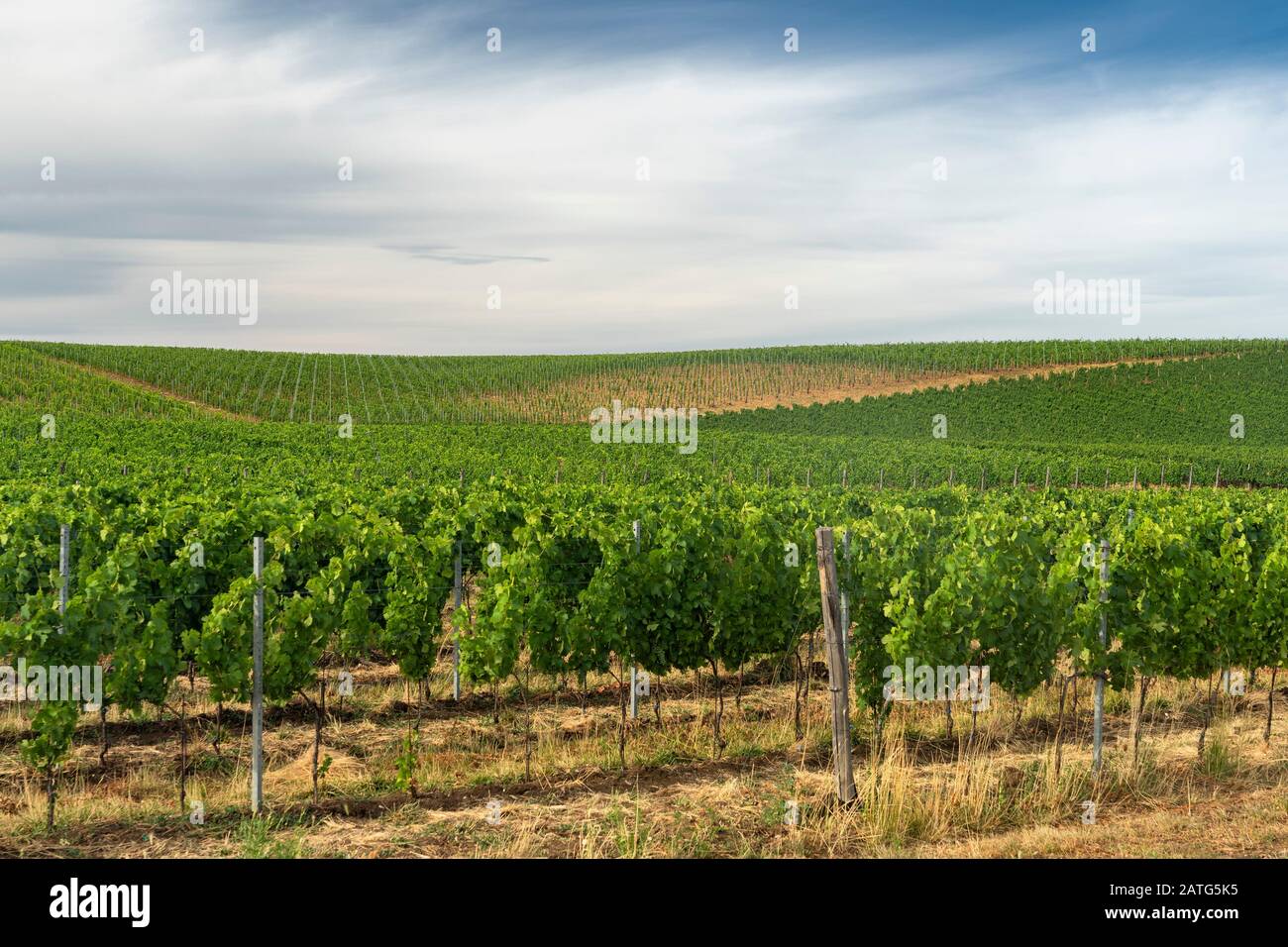 Southern Italy Rural Rural landscape near Venosa, Potenza, Basilicata, Southern Italy, at ...