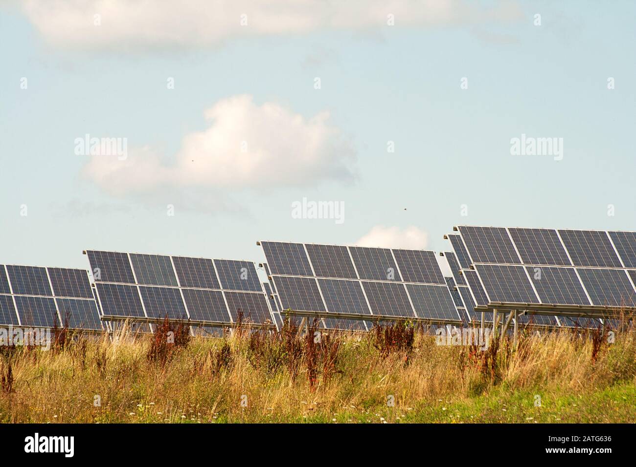 Solar cells of a photovoltaic system to generate energy through solar energy Stock Photo