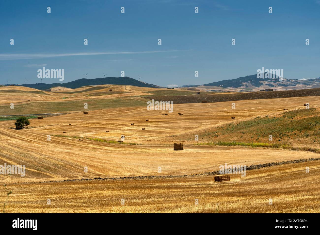 Rural landscape near Genzano di Lucania, Potenza, Basilicata, Southern Italy, at summer. Stock Photo