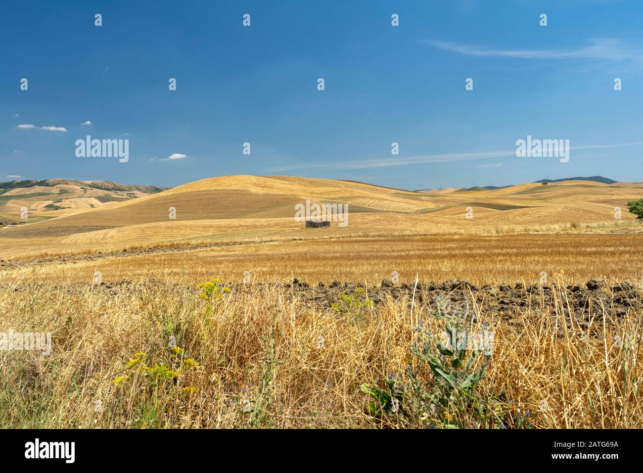 Rural landscape near Genzano di Lucania, Potenza, Basilicata, Southern Italy, at summer. Stock Photo