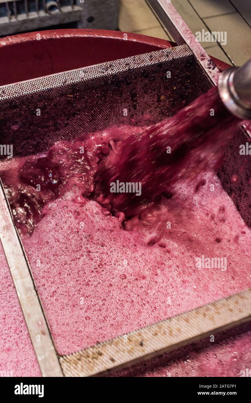 Pigéage, French wine-making process in Italian winery Stock Photo