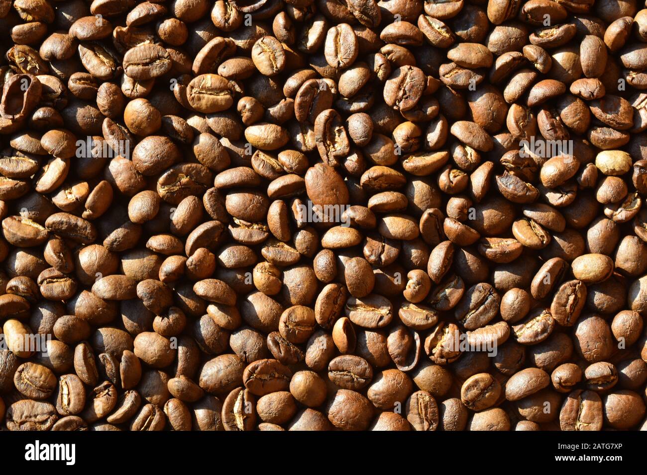 roasted arabica coffee beans, can be used as a background Stock Photo ...