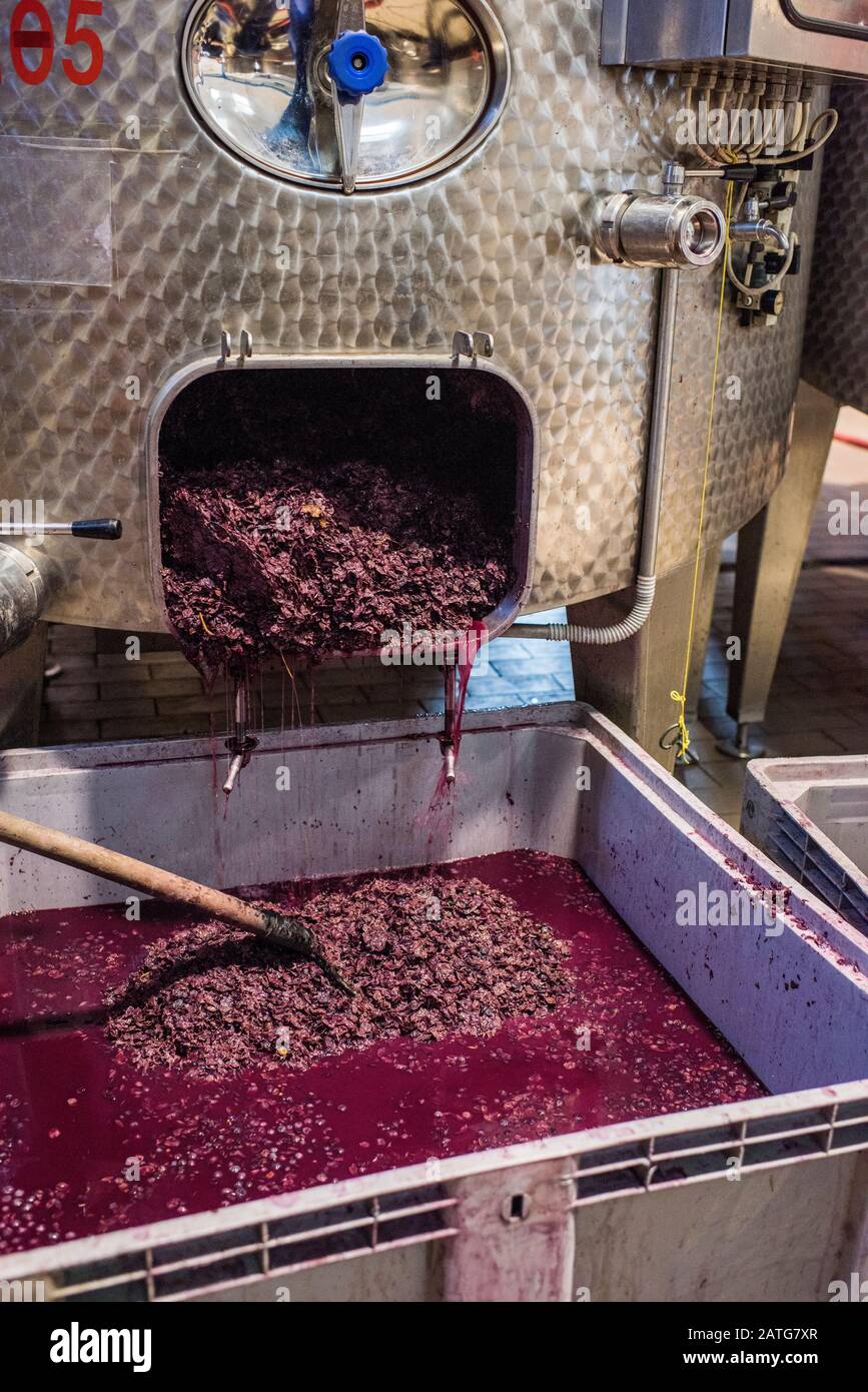 Pigéage, French winemaking process or punching down method Stock Photo