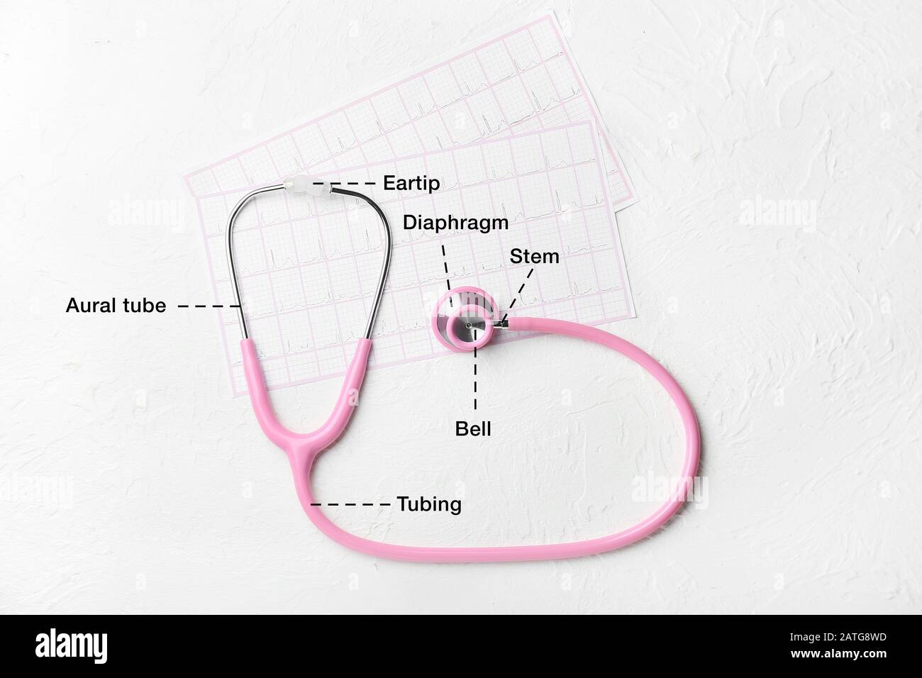 Modern stethoscope with names of particular parts and cardiograms on