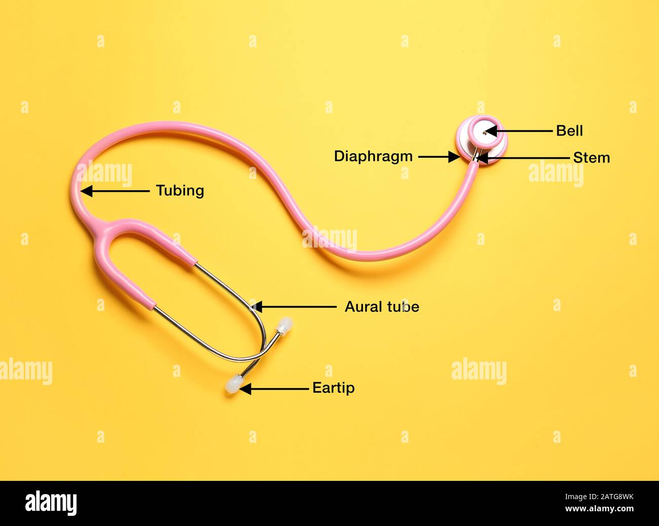 Modern stethoscope with names of particular parts on color background