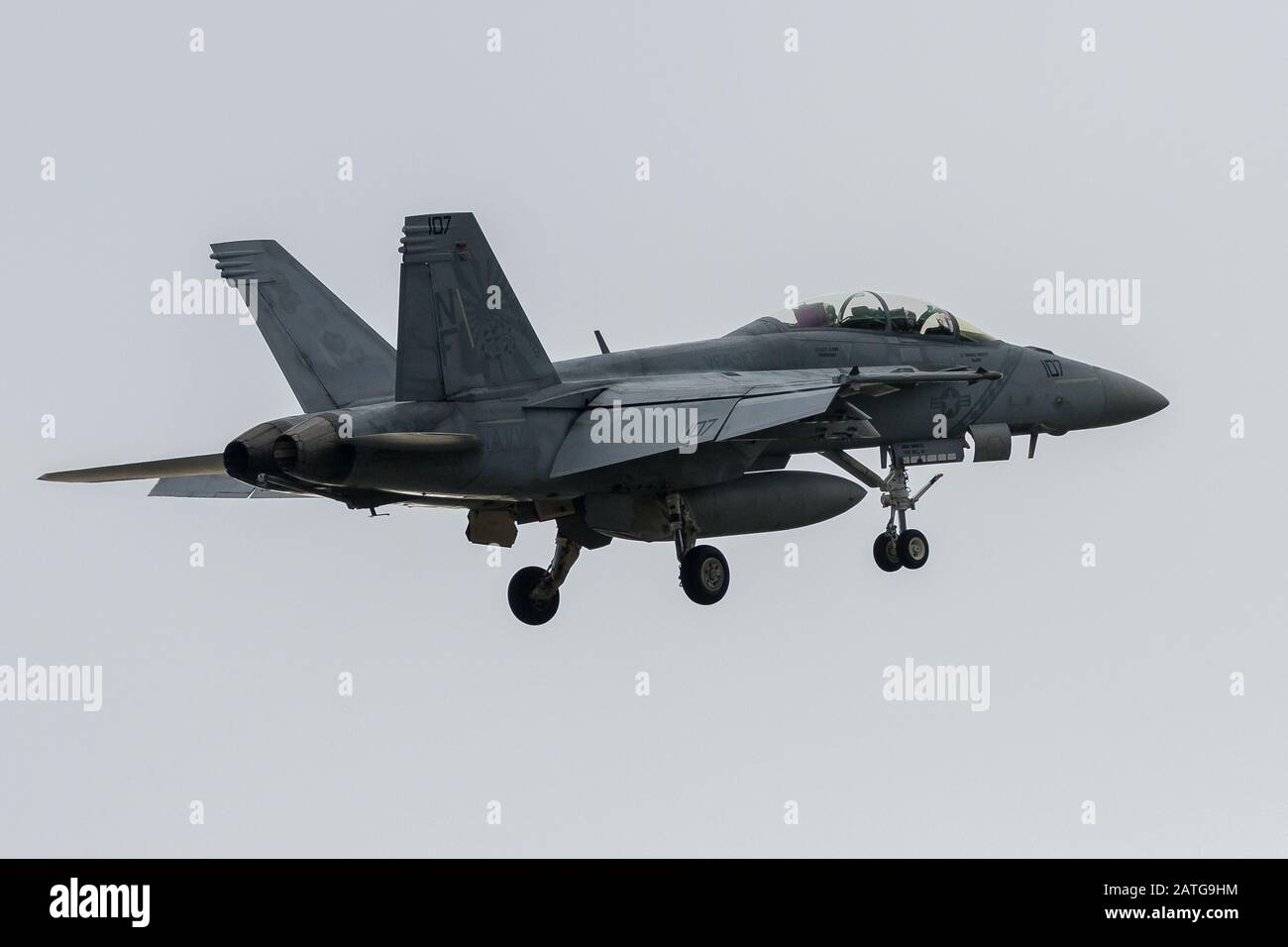 A McDonnell Douglas F/A-18F Super Hornet of Strike Fighter Squadron 102 (Diamondbacks), part of the Carrier Air Wing Five, Stock Photo