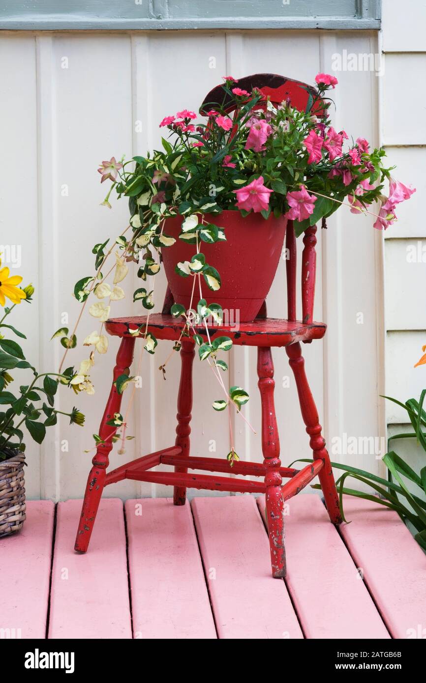 Pink Petunia flowers in container on red painted antique wooden chair on pink painted planked wood veranda of old 1922 cottage style house facade. Stock Photo
