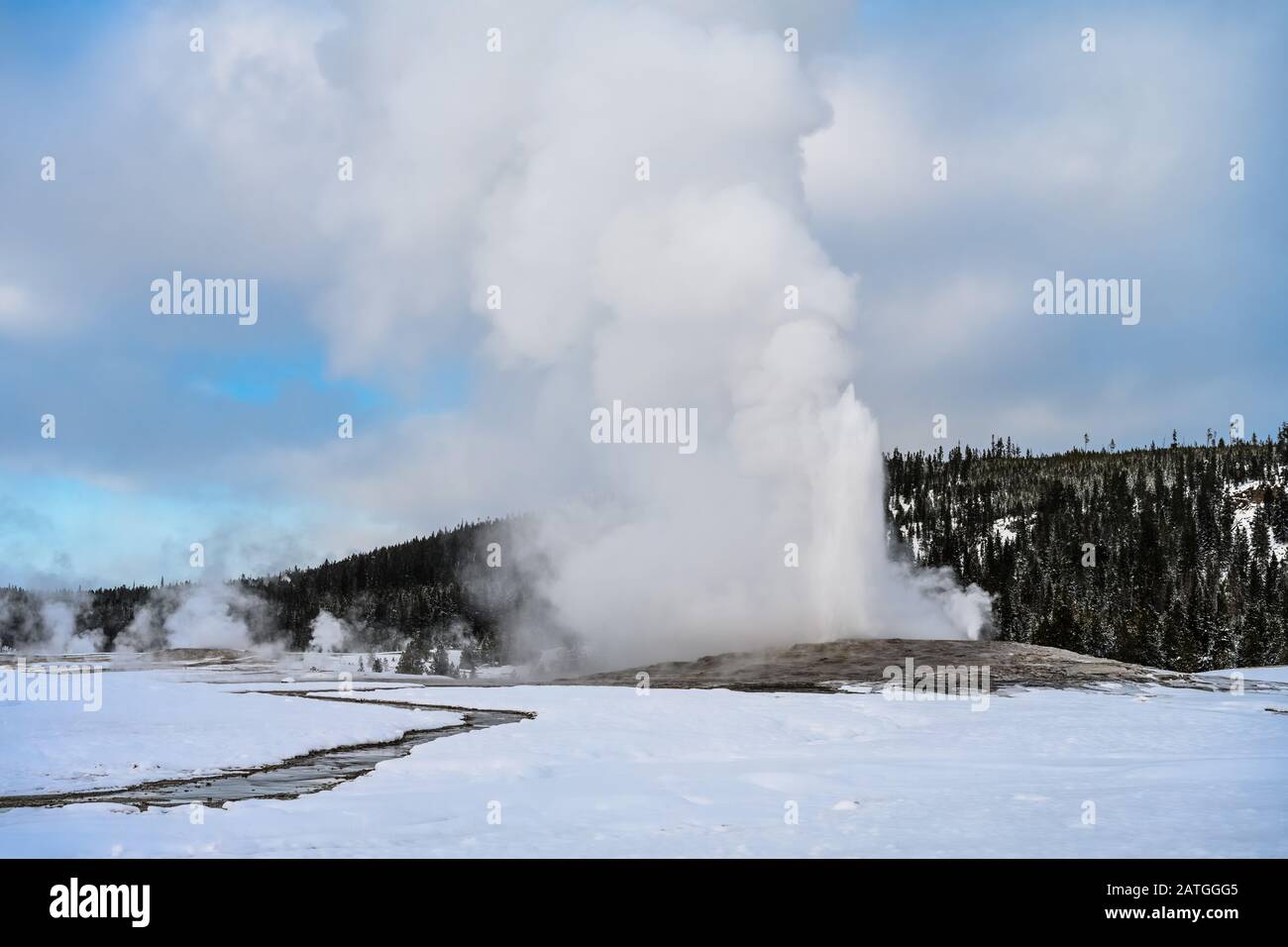 The Old Faithful geyser erupts in a winter day, spewing steam and hot water high in the sky. Yellowstone National Park, Wyoming, USA. Stock Photo