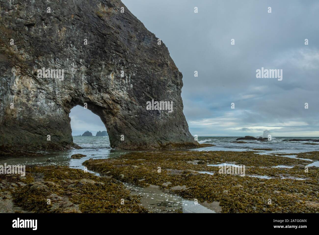 Riatloo Rocks Arch In Rocks of Rialto Beach at low tide Stock Photo - Alamy