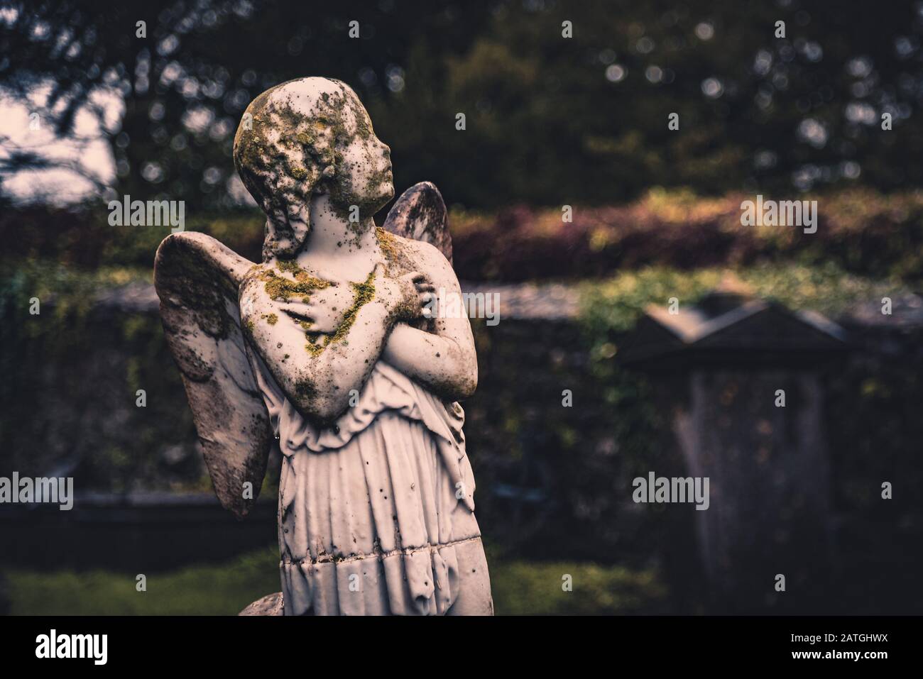 KILKENNY, IRELAND, DECEMBER 23, 2018: Sculpture of an old creepy cherub angel in the middle of a graveyard, full of lichen and mold, holding its chest Stock Photo