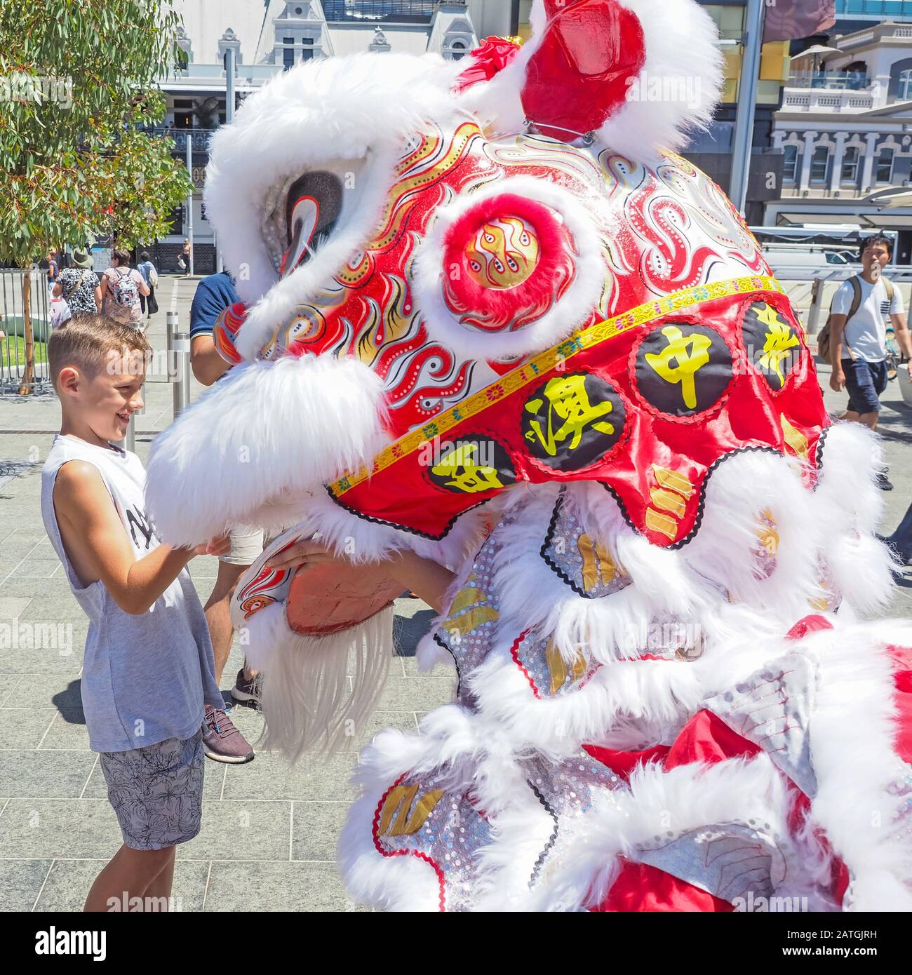 chinese new year perth lion dance