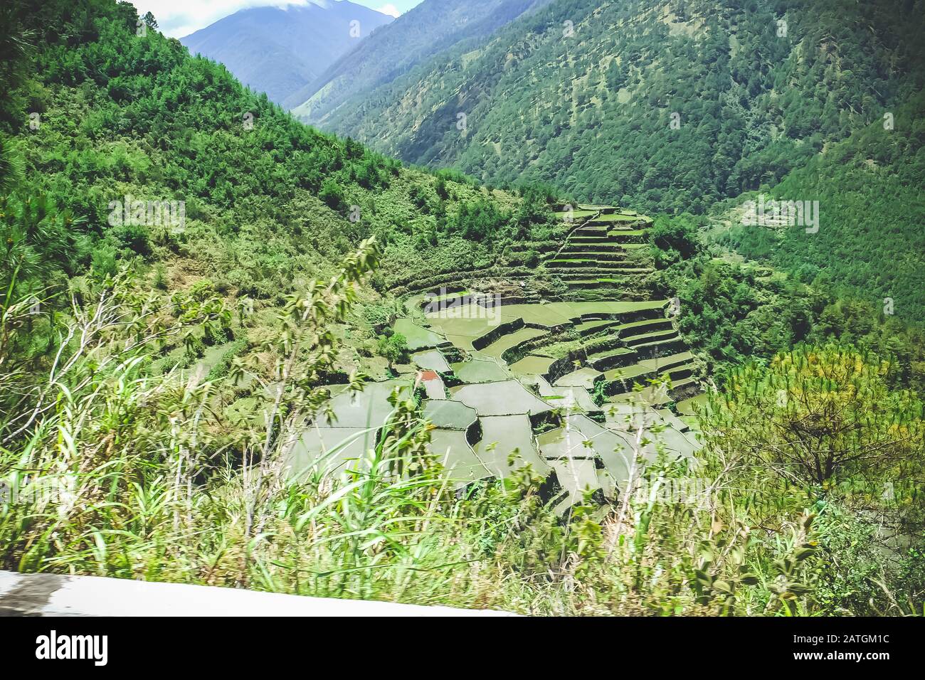 Beautiful rice terraces in Bontoc, Philippines Stock Photo - Alamy