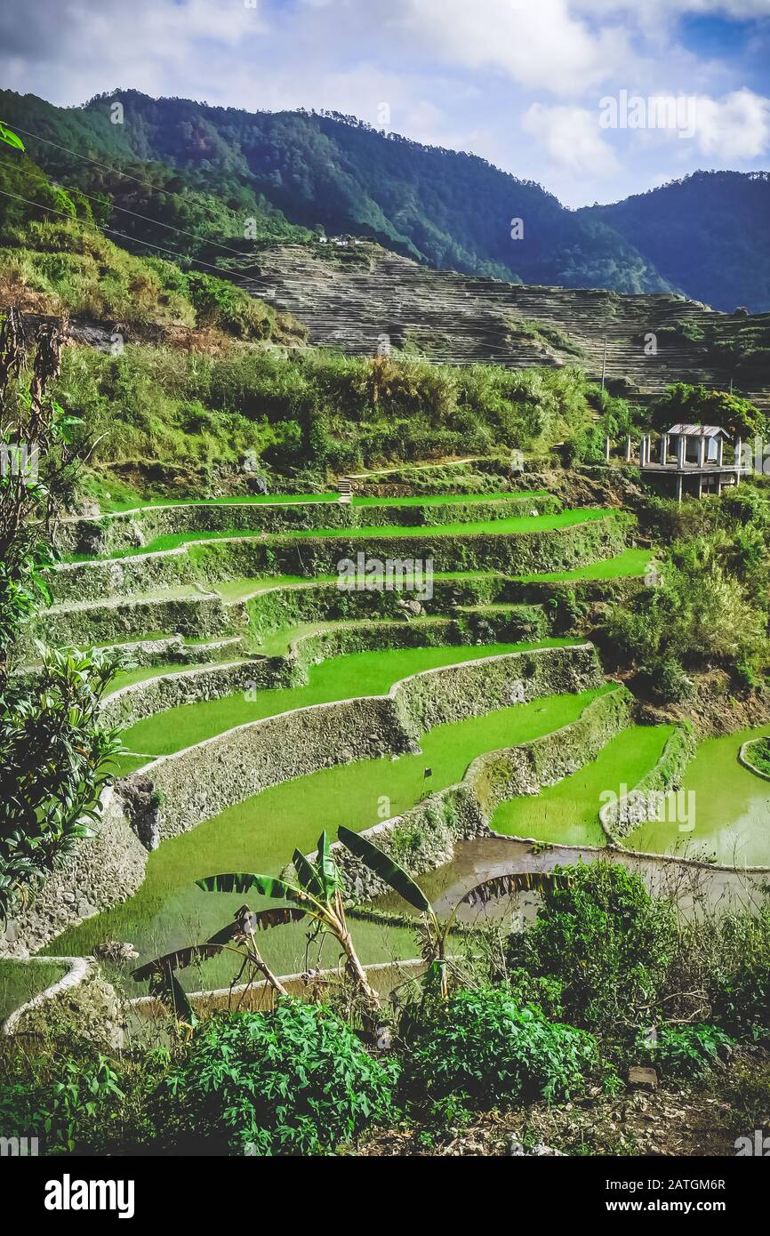 Beautiful rice terraces in Bontoc, Philippines Stock Photo - Alamy