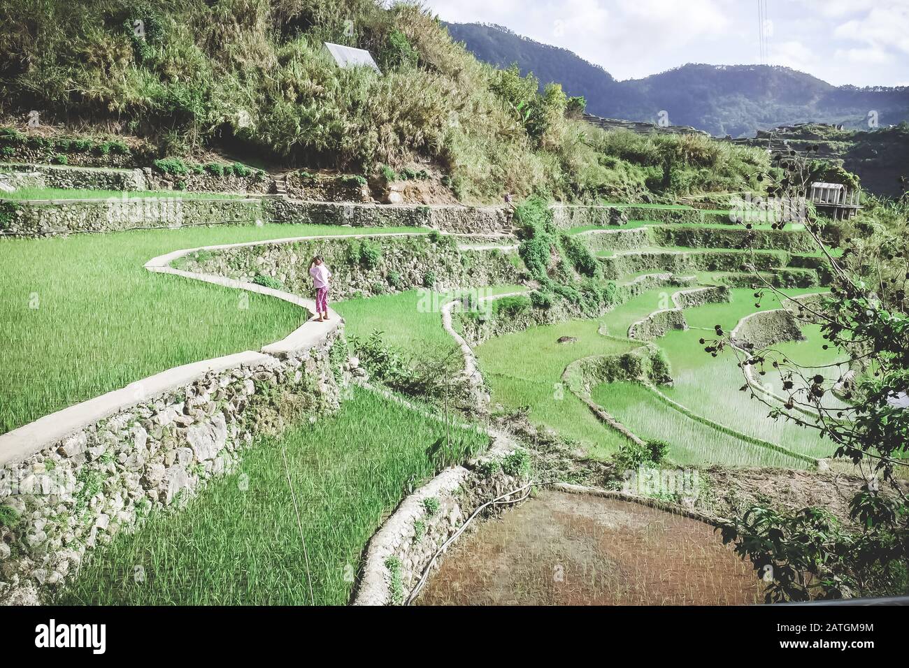 Beautiful rice terraces in Bontoc, Philippines Stock Photo - Alamy