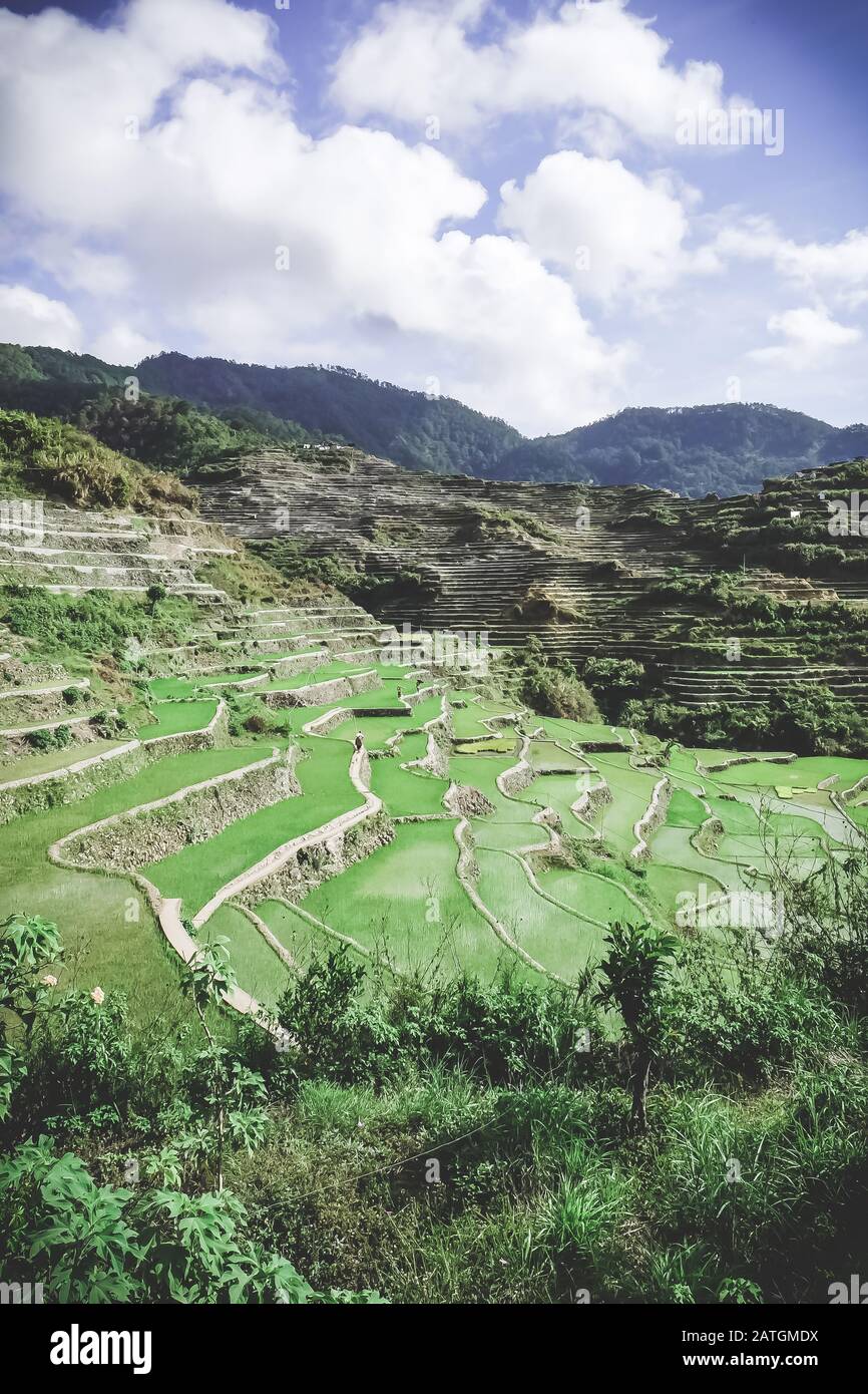 Beautiful rice terraces in Bontoc, Philippines Stock Photo - Alamy