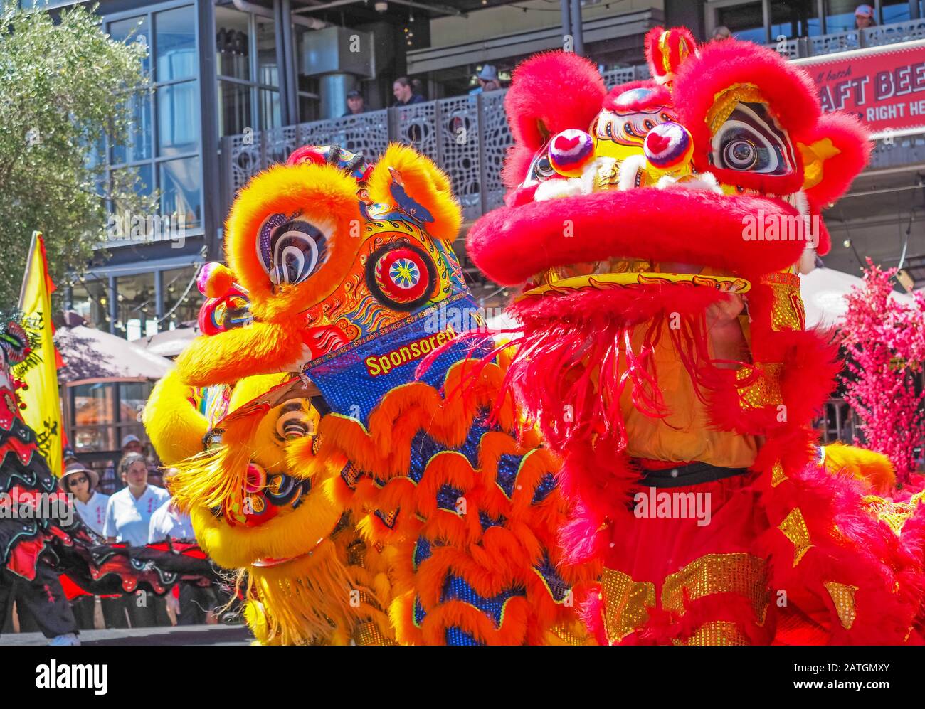 chinese new year perth lion dance