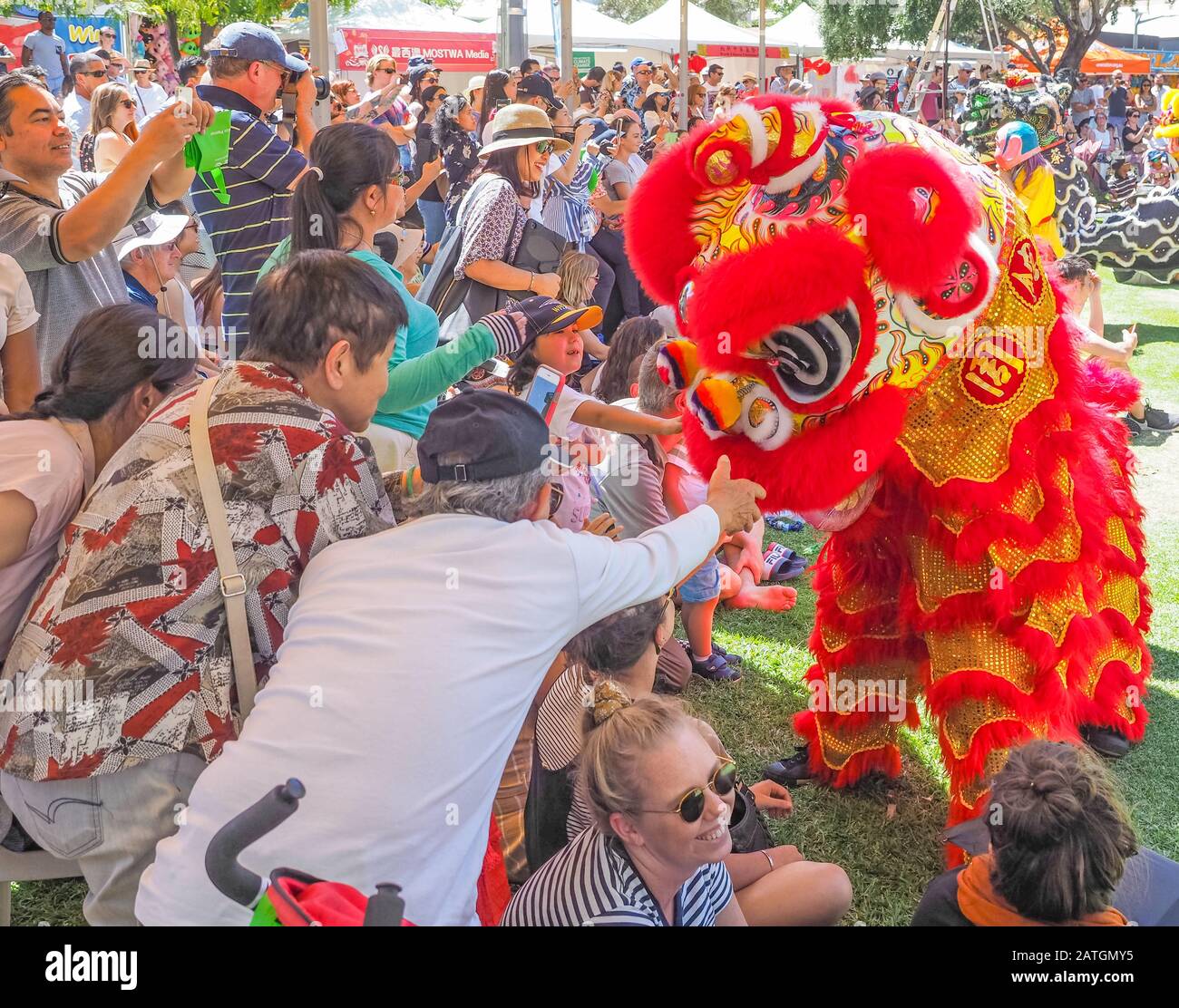 chinese new year perth lion dance