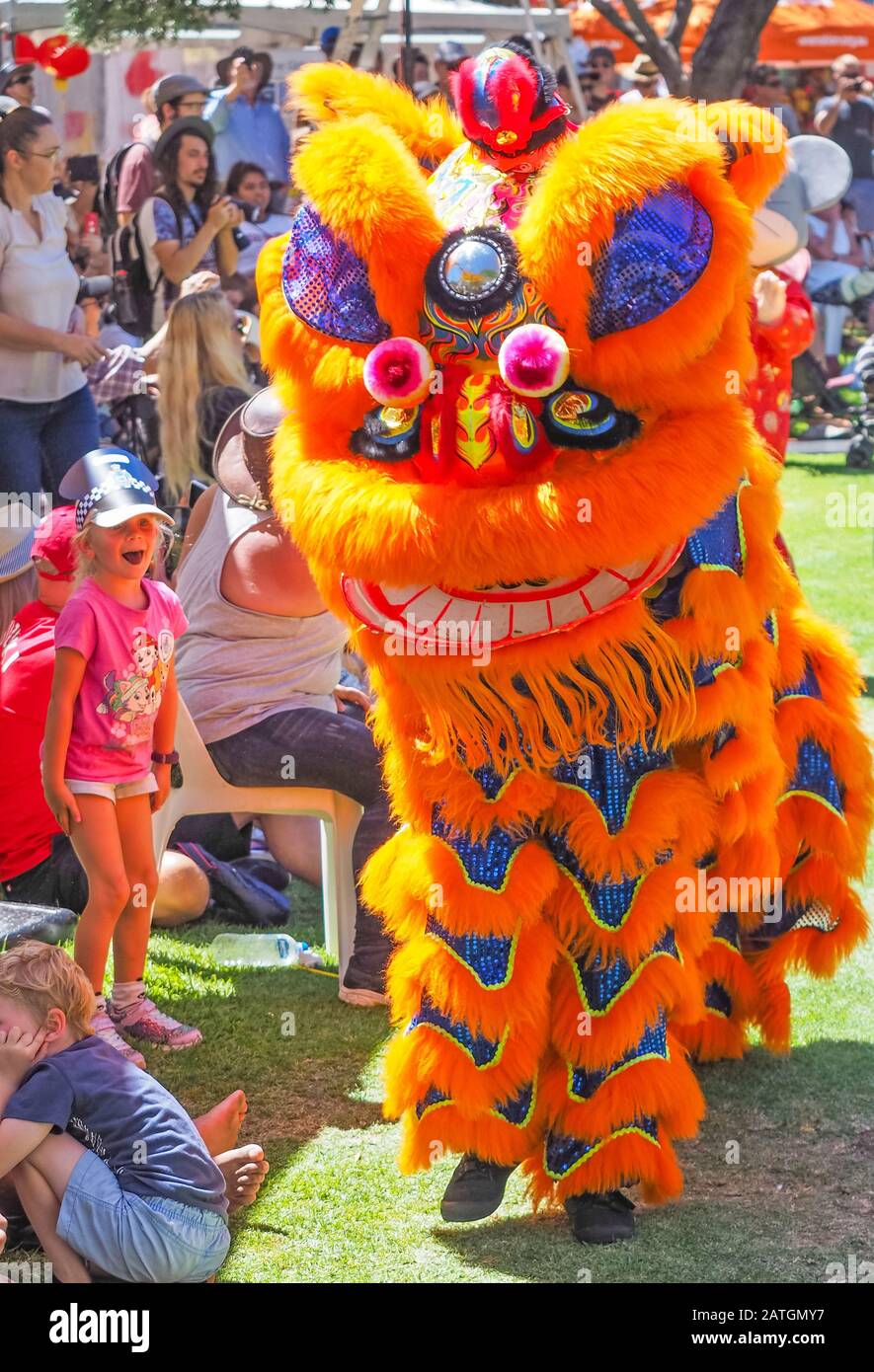 chinese new year perth lion dance