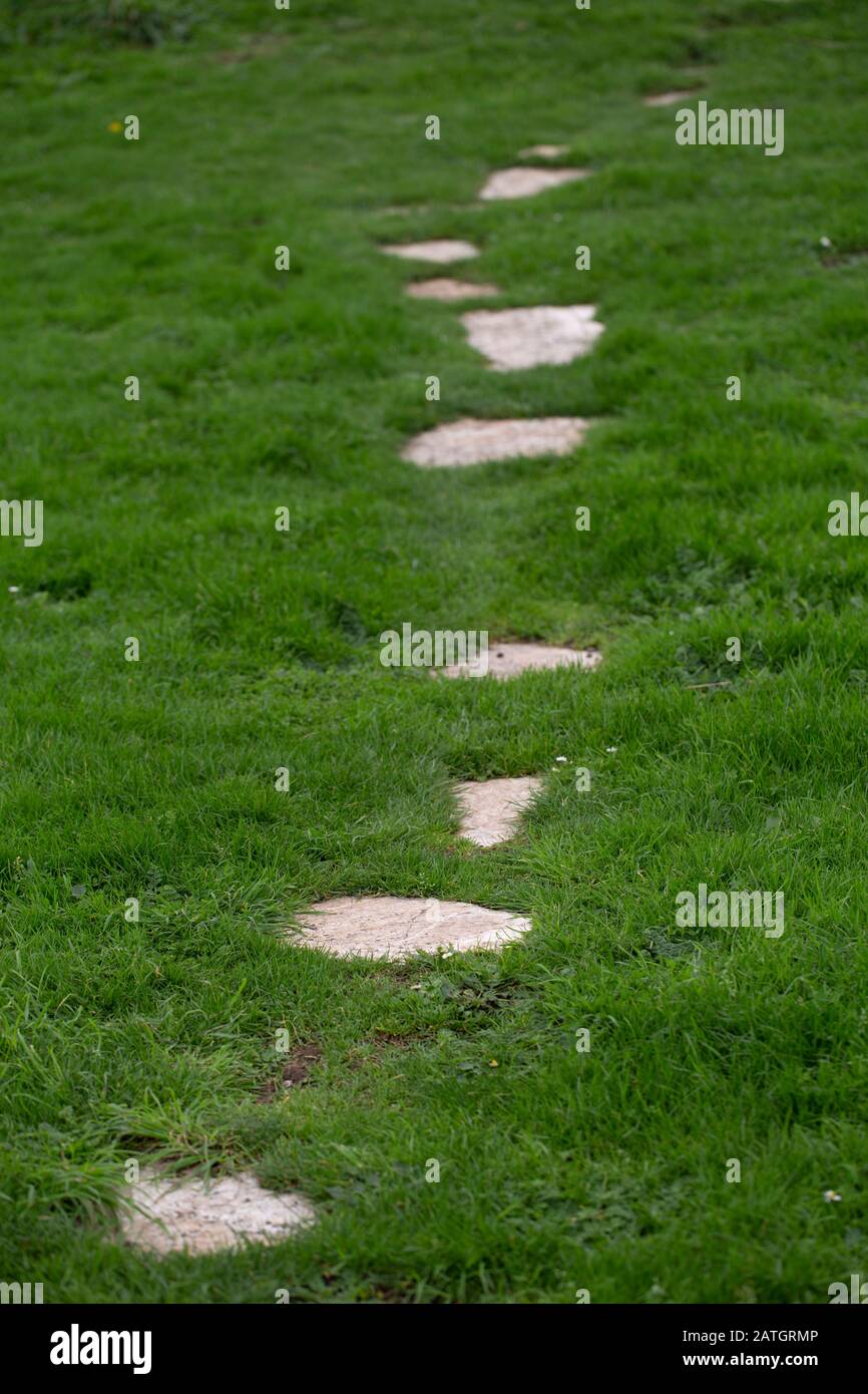 Green grass with rocks Stock Photo