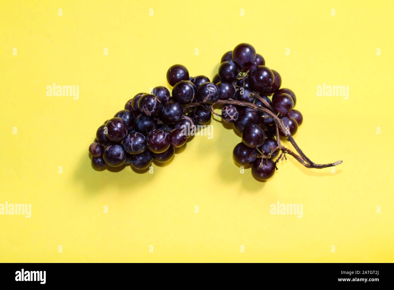 Ripe violet grapes against a bright yellow background to show color contrast, concept of fun and pop culture Stock Photo