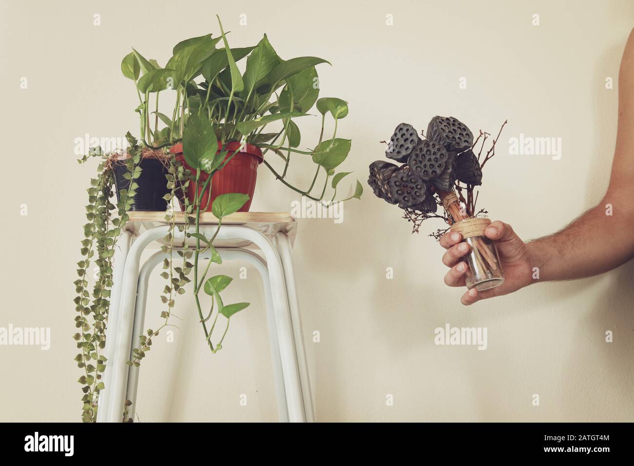 Minimalist home decoration for the Spring season using houseplants to create a relaxing and gender neutral space Stock Photo