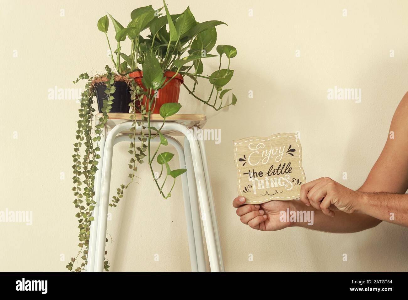 Minimalist home decoration for the Spring season using houseplants to create a relaxing and gender neutral space Stock Photo