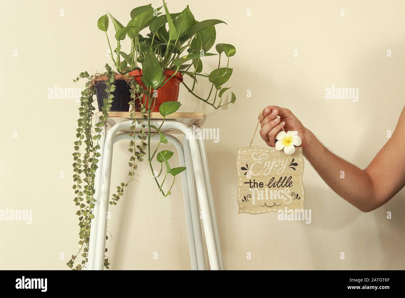 Minimalist home decoration for the Spring season using houseplants to create a relaxing and gender neutral space Stock Photo