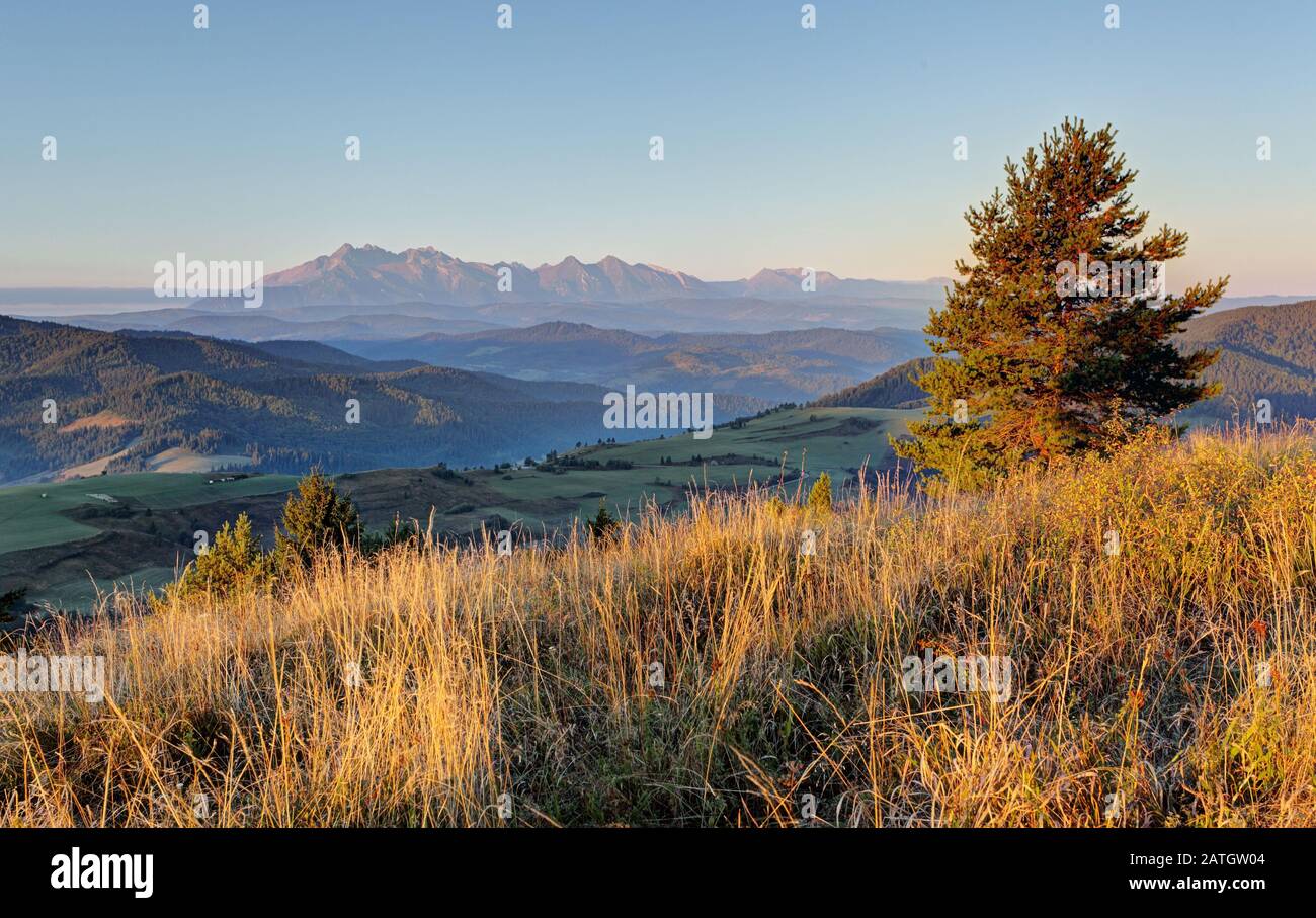 Summer mountain landscape in Slovakia Stock Photo