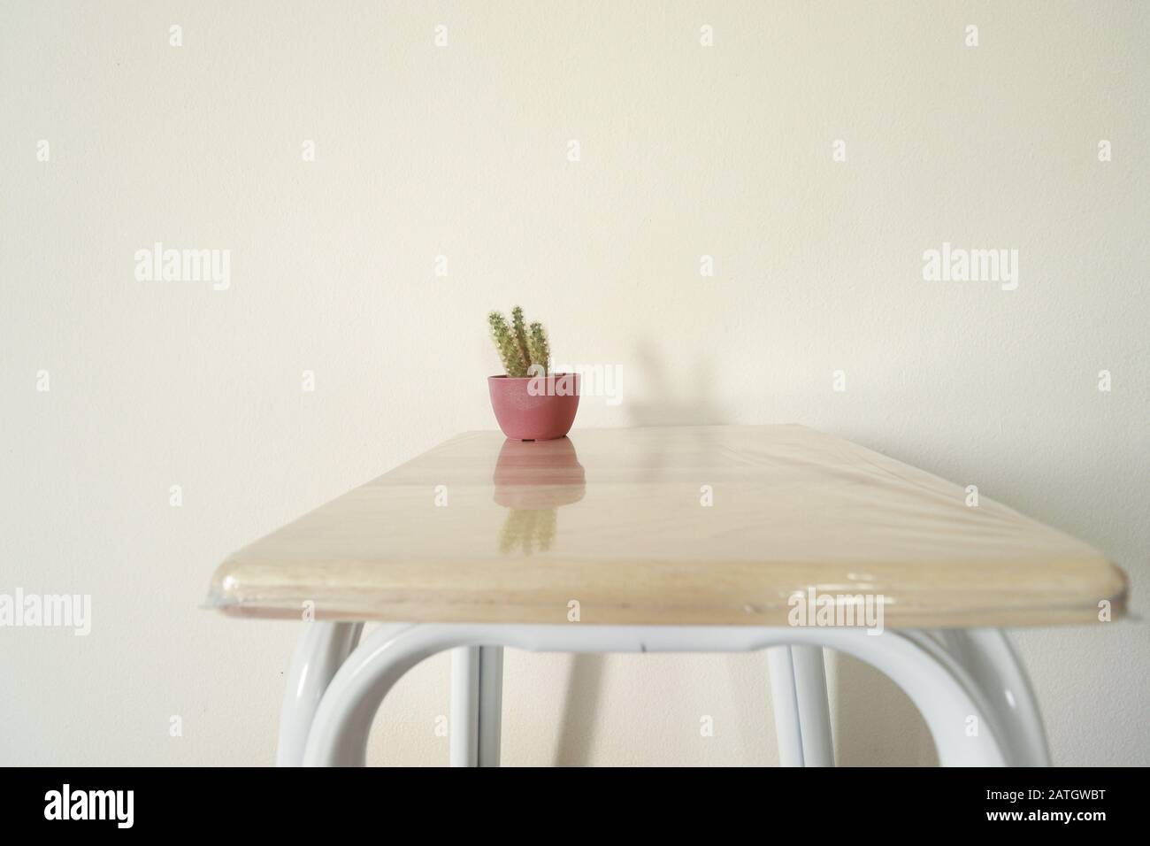 Cactus in a cute pink pot for a Spring theme home decoration and relaxing gender neutral home space Stock Photo