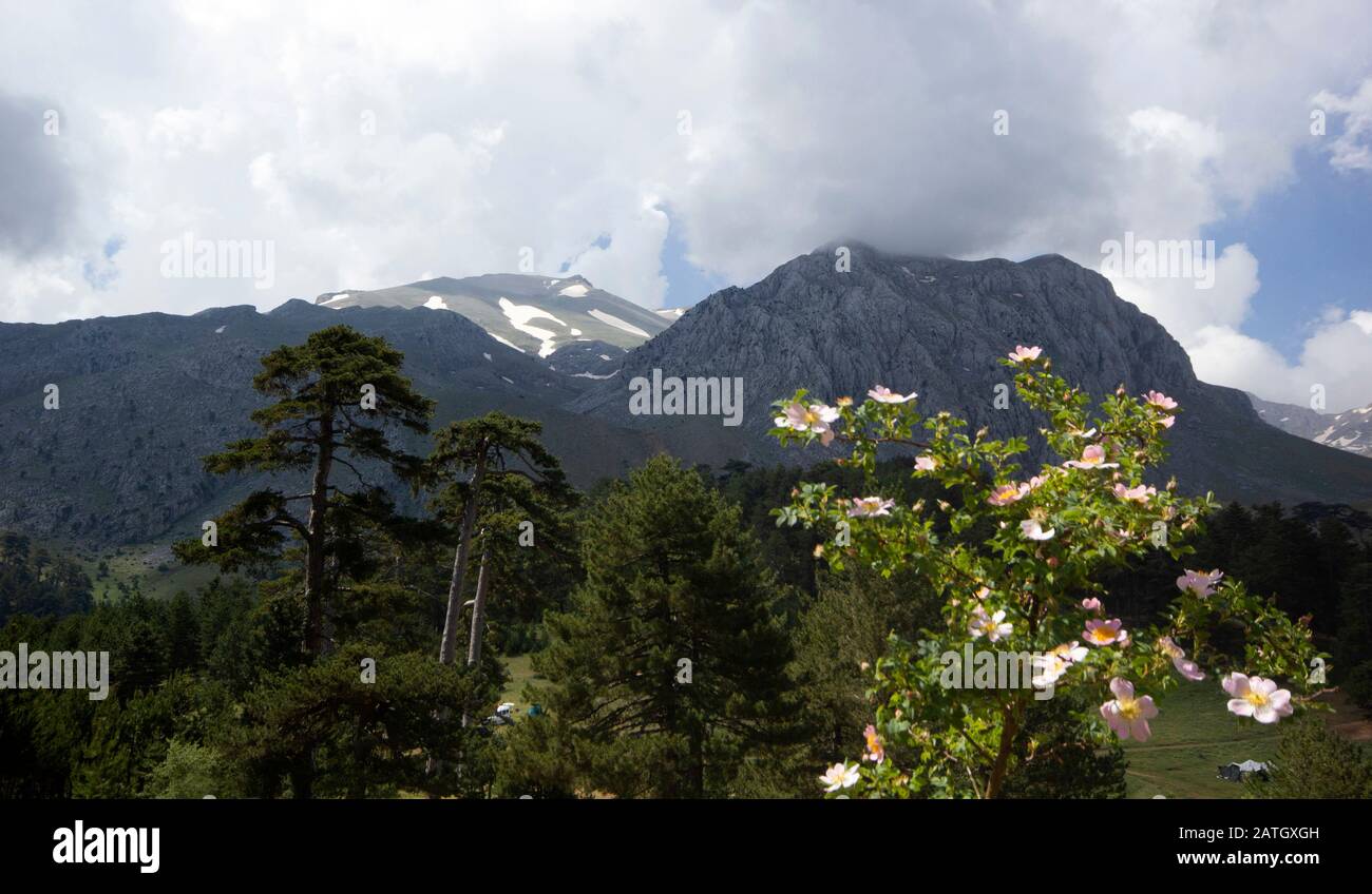Beautiful mountain landscape background image Stock Photo - Alamy