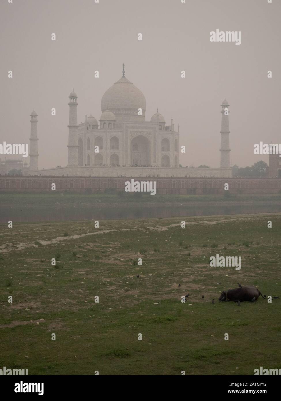the-backside-of-the-taj-mahal-in-agra-india-on-overcast-day-with-smog
