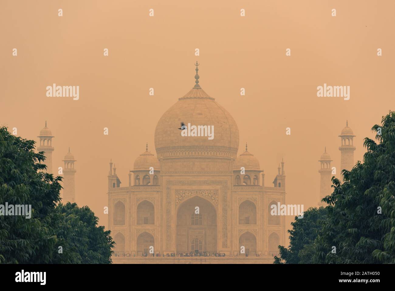 the-backside-of-the-taj-mahal-in-agra-india-on-overcast-day-with-smog