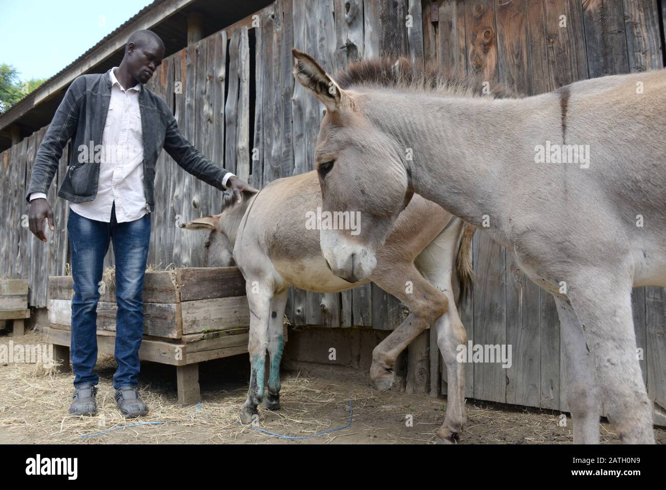 Naivasha, Kenya. 16th Jan, 2020. Raphael Ngome, an employee of an