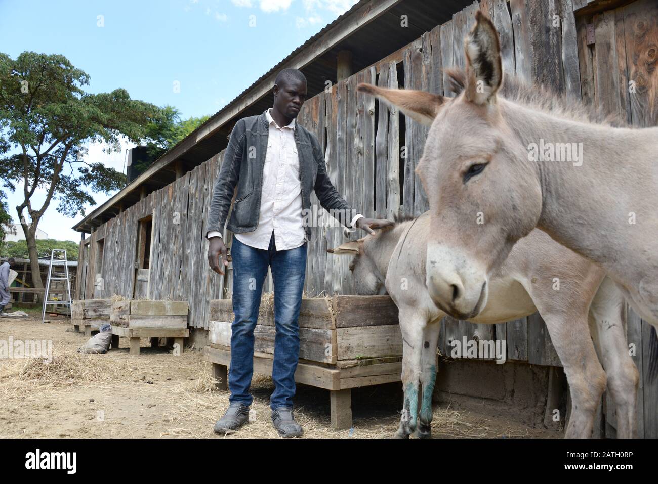 16 January 2020, Kenya, Naivasha: Raphael Ngome, an employee of an