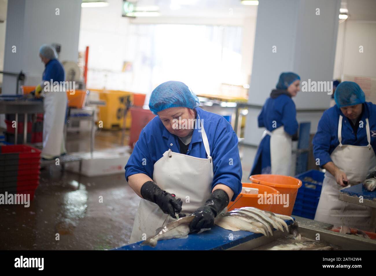 Sustainable fisheries hires stock photography and images Alamy