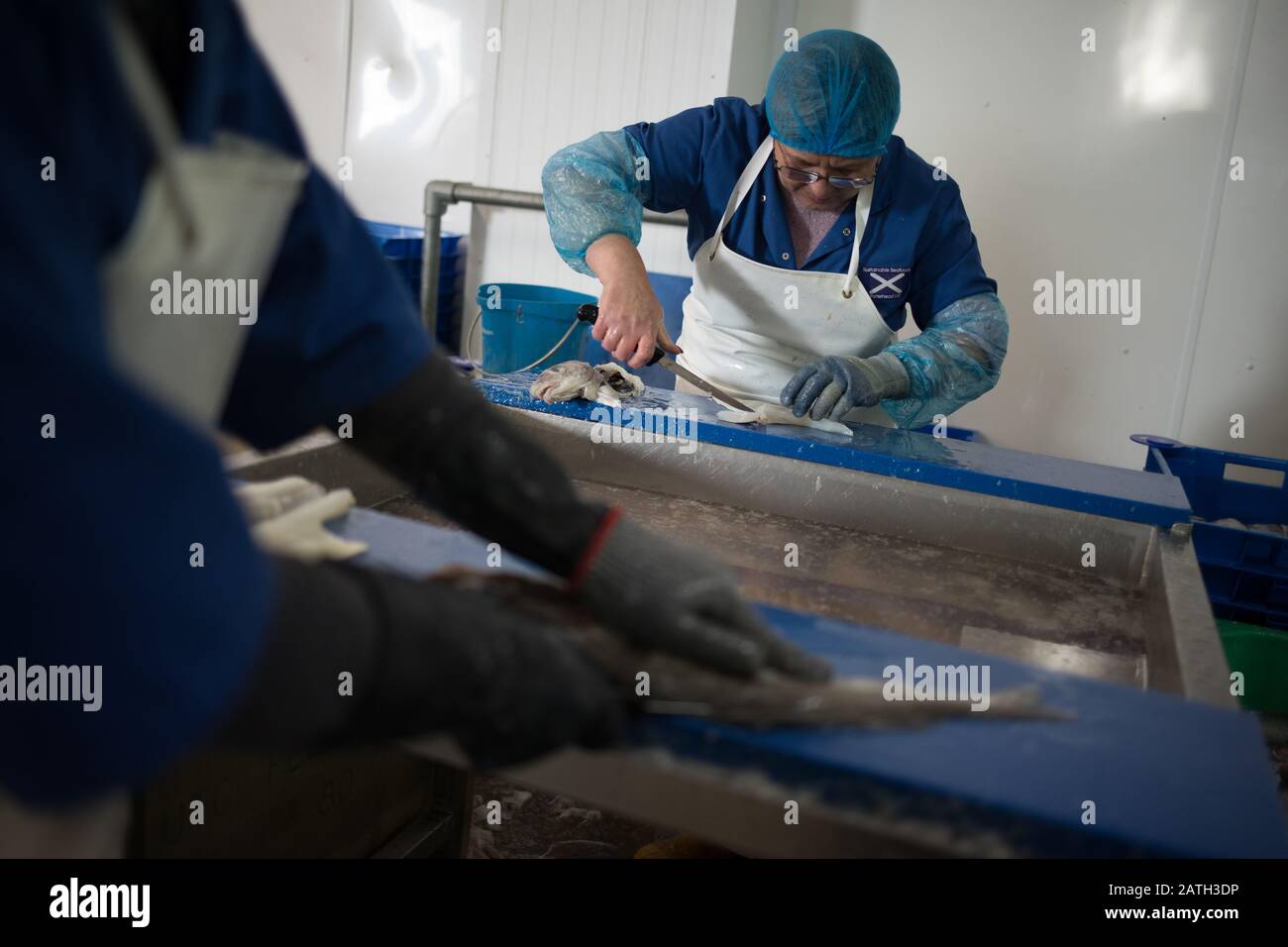 Sustainable fisheries hires stock photography and images Alamy