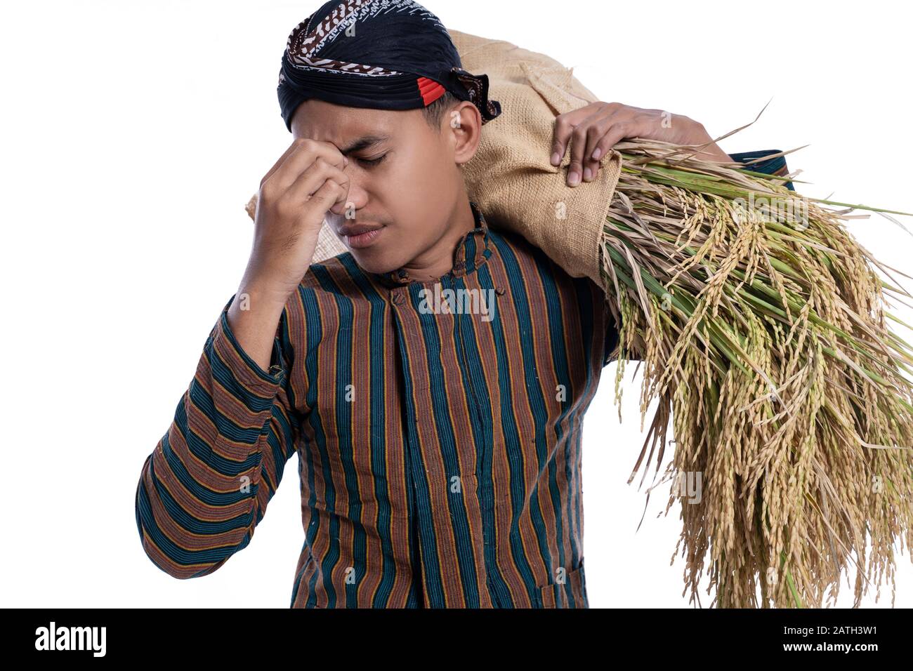 stress traditional while carrying a rice from the field isolated over ...