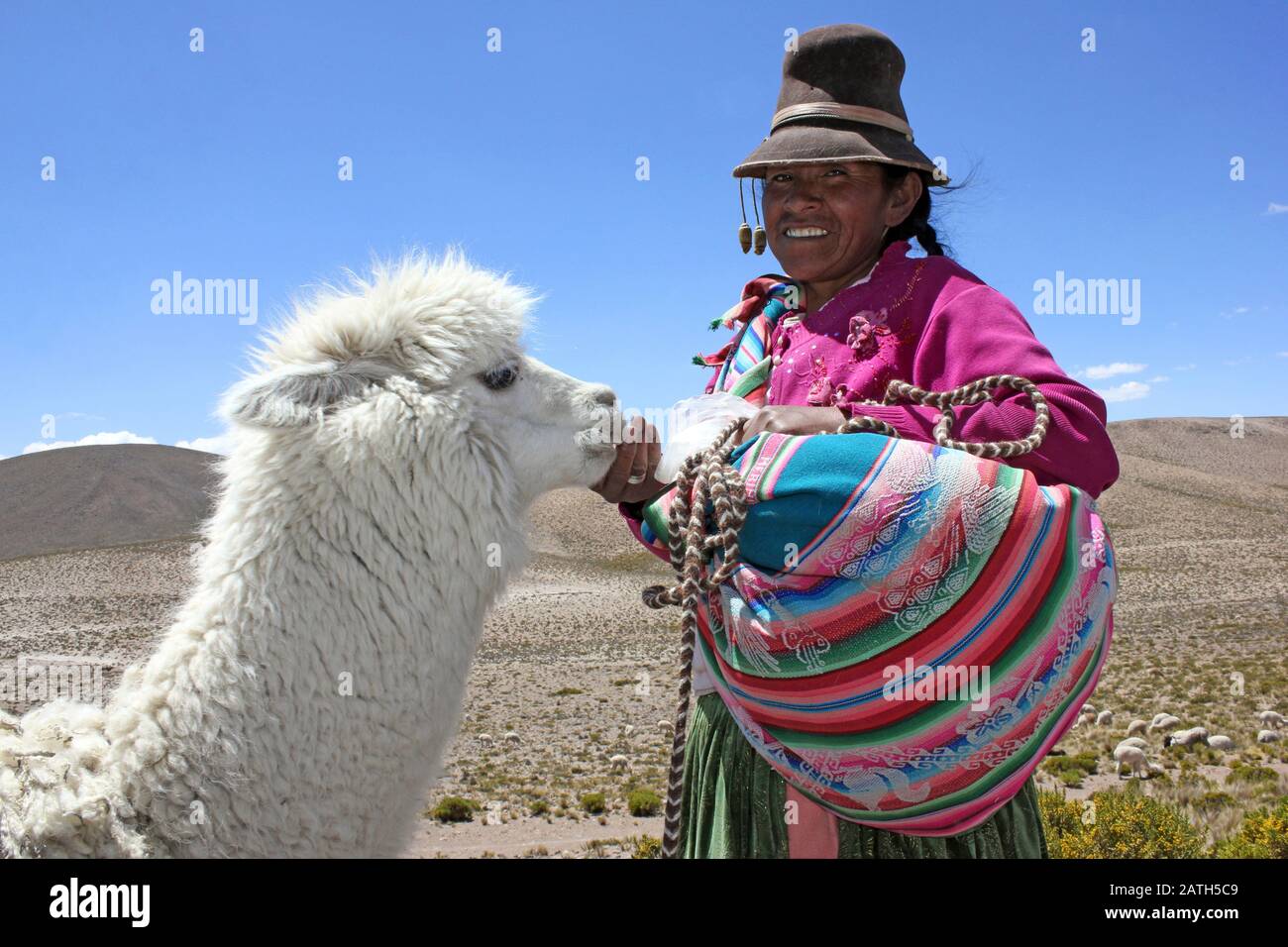 Peruvian Woman with Alpaca Stock Photo