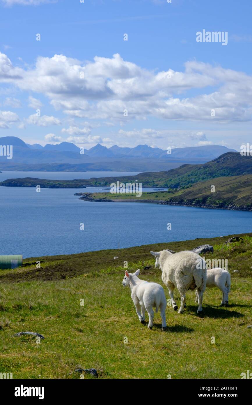 The Summer Isles Achiltibuie Ross-shire Highlands Scotland Stock Photo
