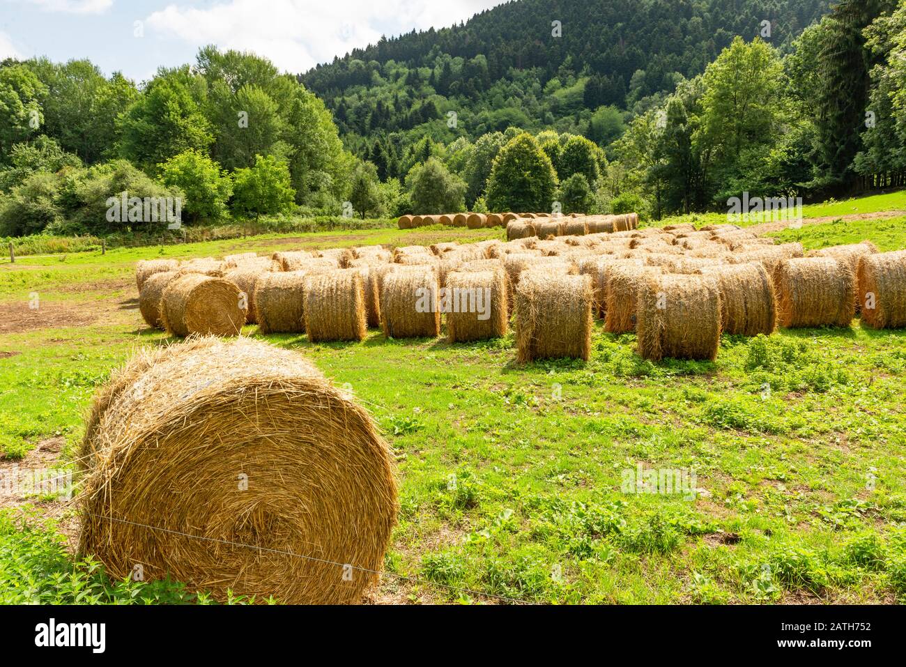 France. Arriège. Bottes de paille rondes dans un champs. Round bales of  straw in a field Stock Photo - Alamy