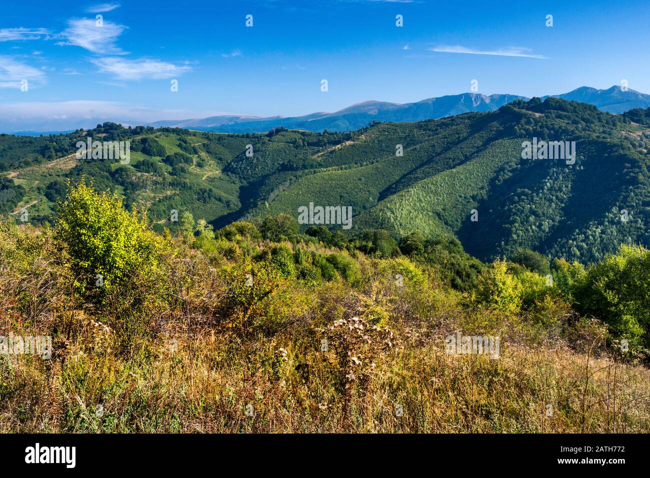 Vasilevska planina hi-res stock photography and images - Alamy
