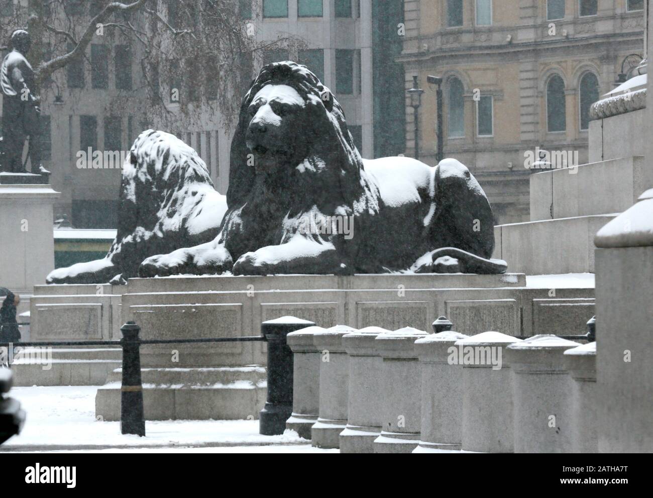 Snow covered lion statues in Trafalgar Square, London, England Stock