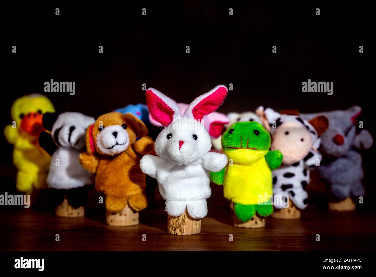 Different animal finger puppets, concept figures for an educater on the