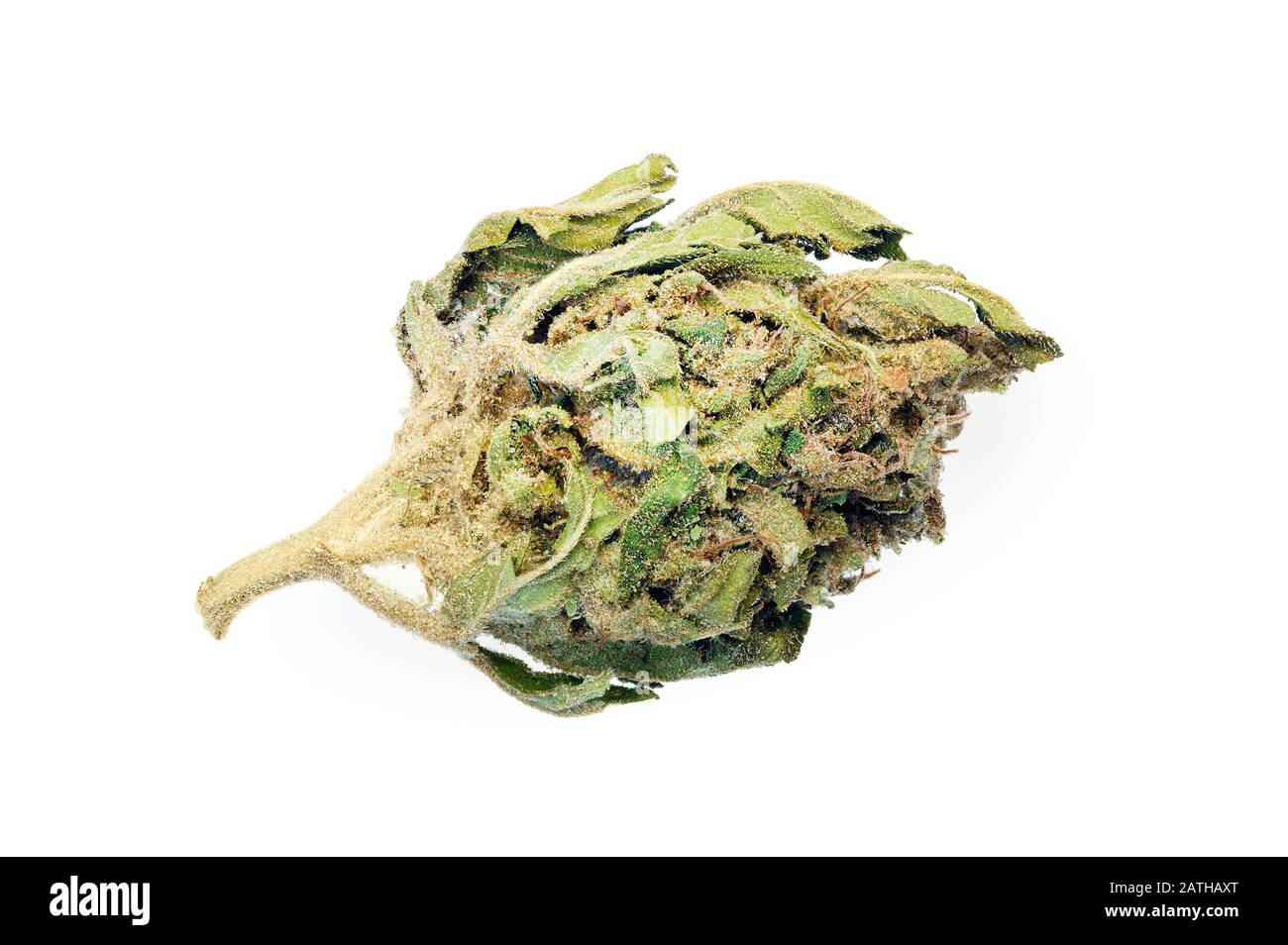 Close up of prescription medical marijuana and recreational weed hybrid strain sticky flower bud. Stock Photo