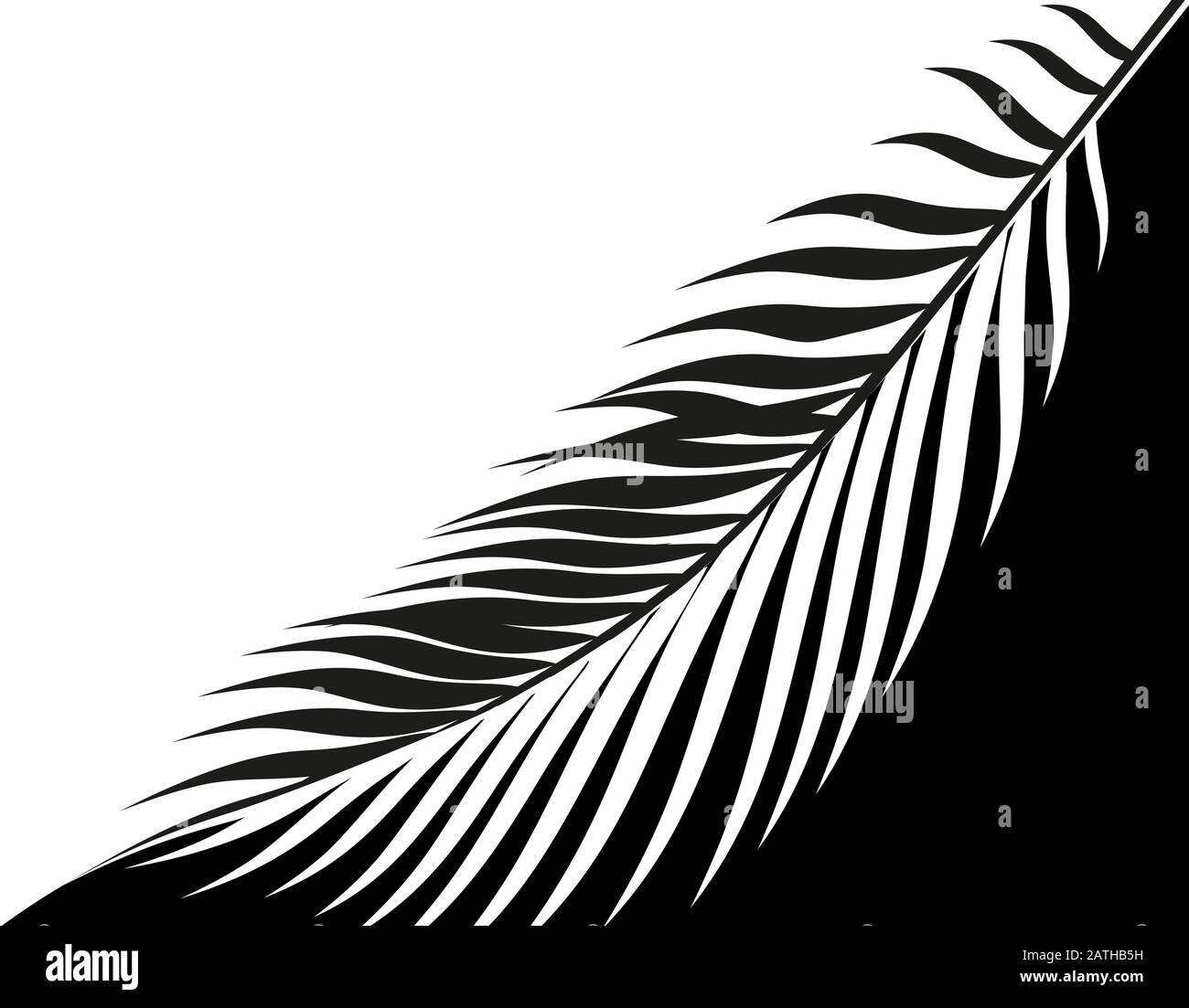 Black and white stylized drawing of a tropical palm leaf. . Vector ...