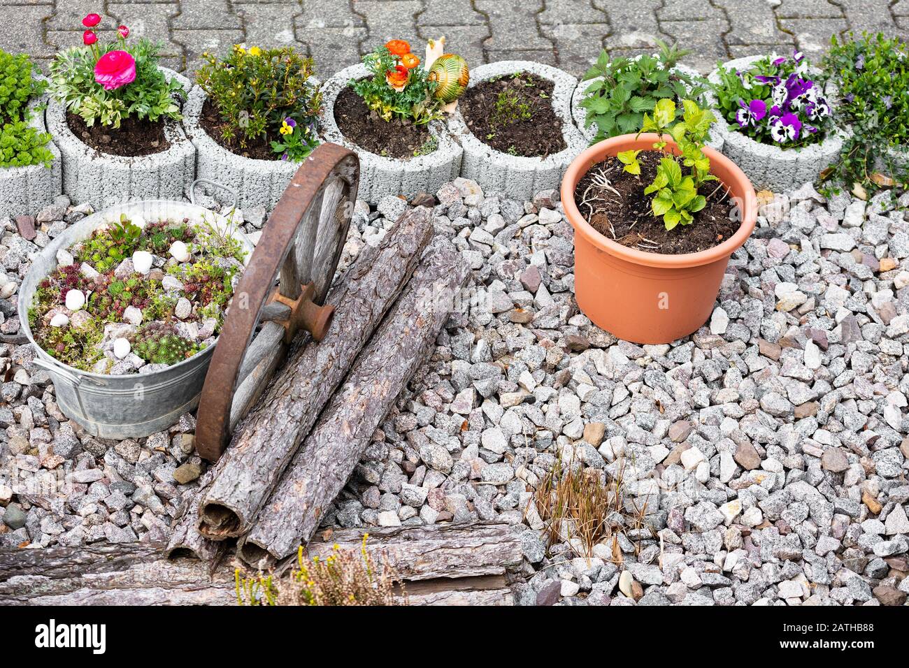 rockery garden with a lot of plants in plant pots Stock Photo