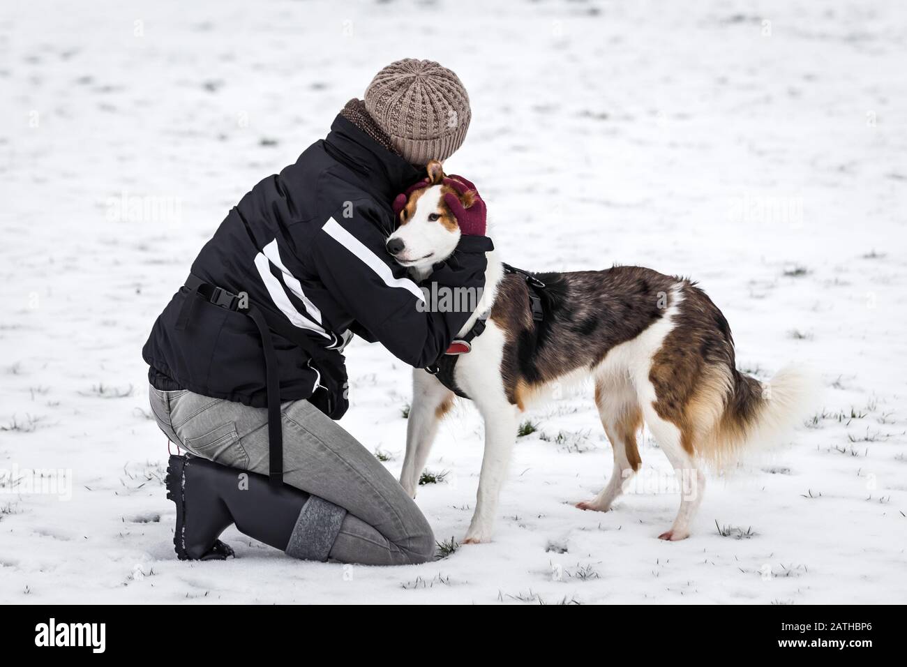 Woman is cuddling and hugging her cute dog on a snowy ground, animal loving Stock Photo