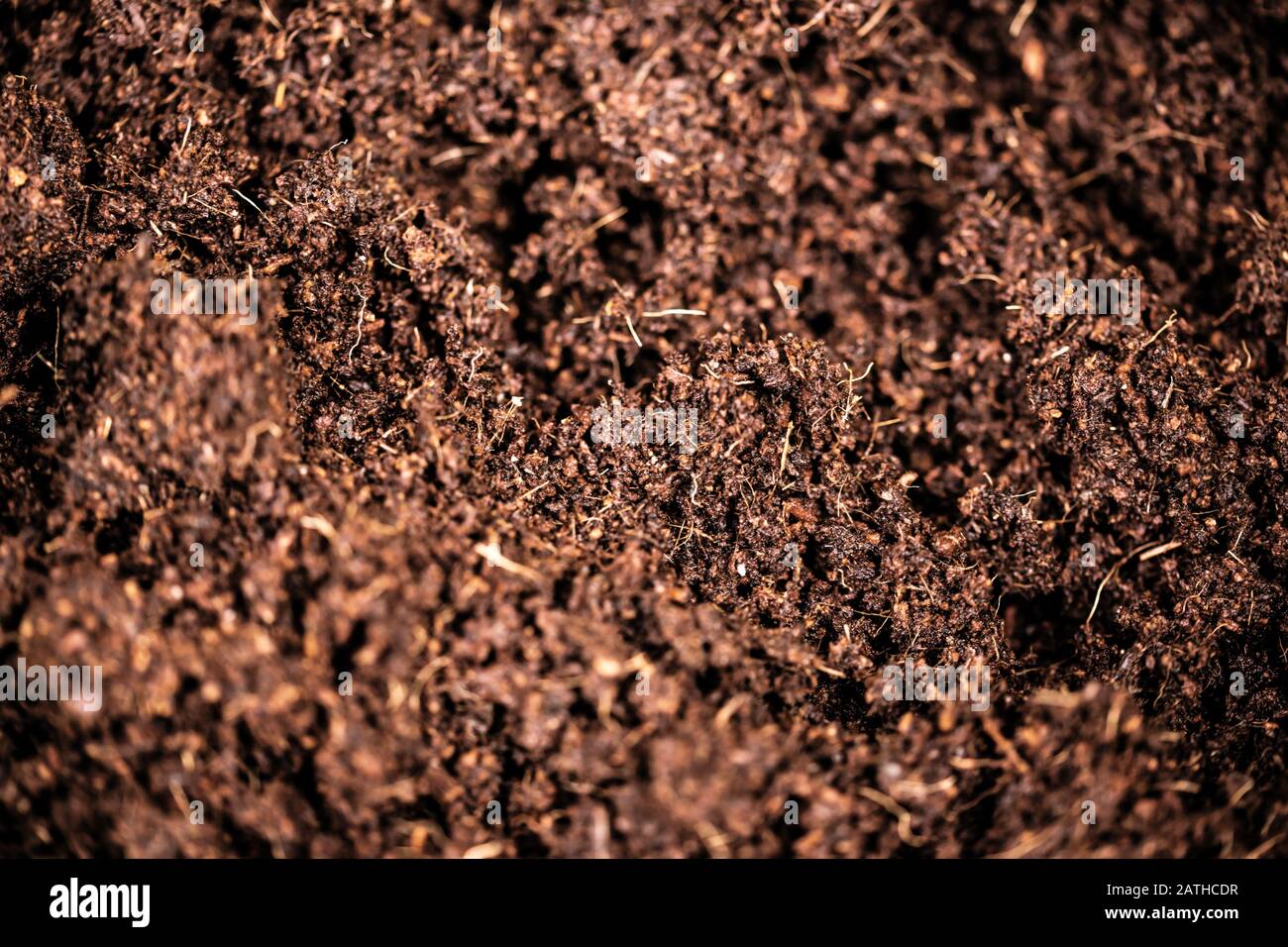 closeup shot of coconut fiber used as bio soil Stock Photo - Alamy